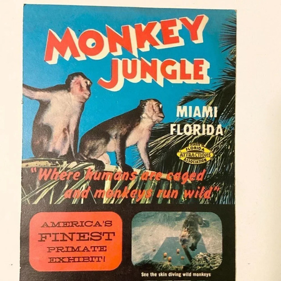Vintage 1970s Florida Monkey Jungle Miami Travel Brochure Pamphlet Souvenir - Picture 3 of 7